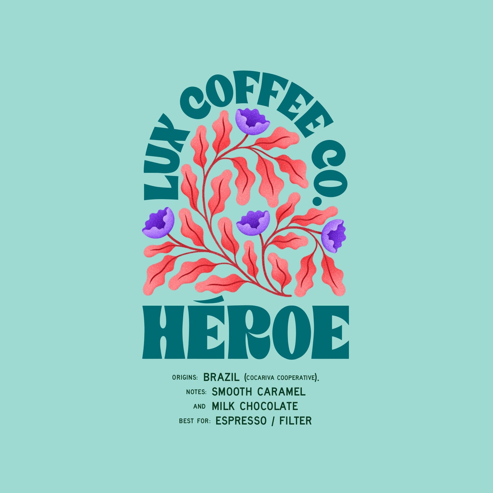 HÉROE - Brazil (Cocariva)