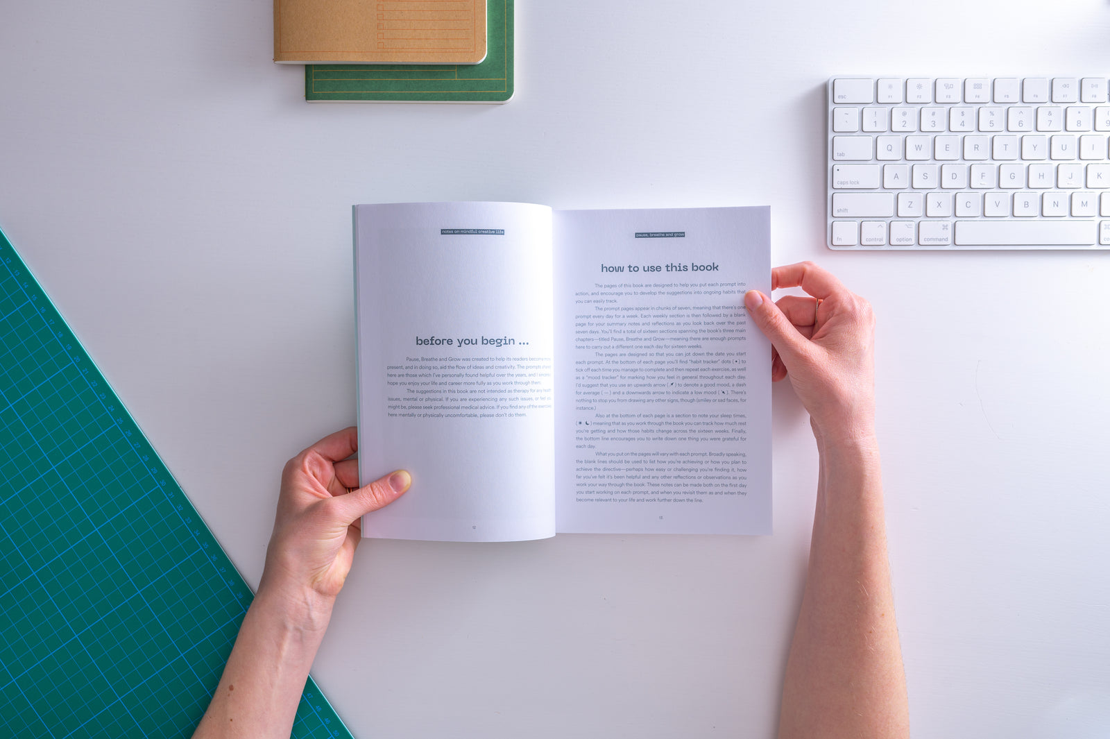 Pause, Breathe and Grow